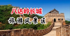 男的操女的逼网站中国北京-八达岭长城旅游风景区