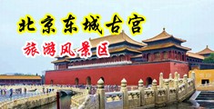 大粗鸡巴小伙操逼视频中国北京-东城古宫旅游风景区